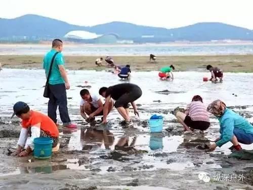 海南赶海爆料网站大全最新,探索海滩的秘密宝藏 第2张 海南赶海爆料网站大全最新,探索海滩的秘密宝藏 第2张